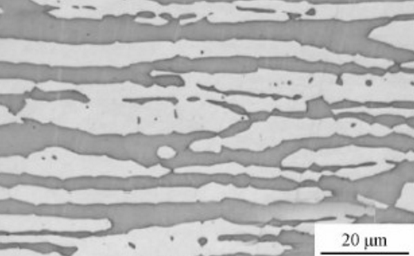 奧氏體-鐵素體雙相組織 奧氏體-鐵素體雙相組織